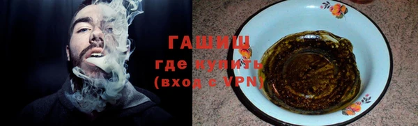 метадон Богданович
