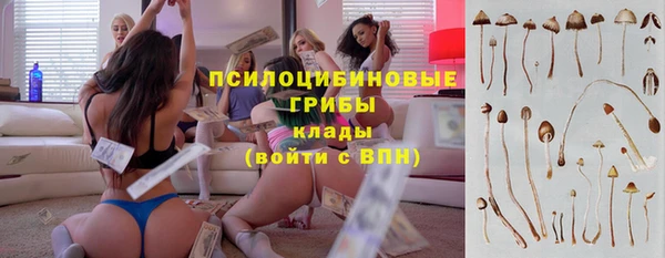 прущий лед Богородск